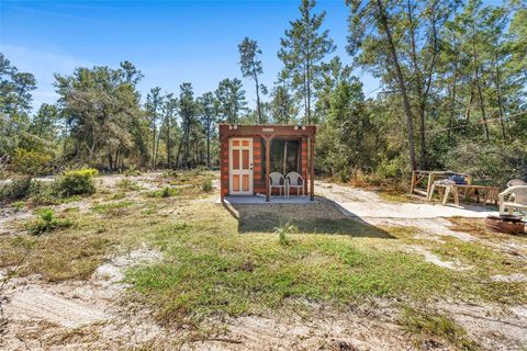 Tiny photo for Deep Woods Road, Paisley, FL 32767 (MLS # V4945611)