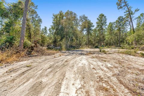 Tiny photo for Deep Woods Road, Paisley, FL 32767 (MLS # V4945611)