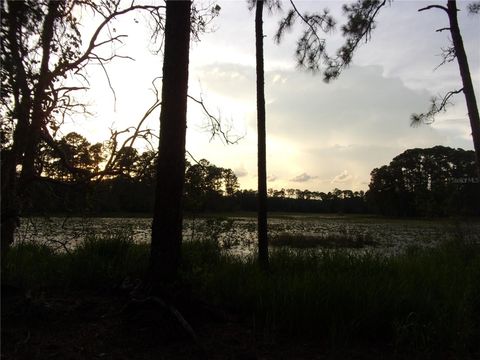 Tiny photo for Deep Woods Road, Paisley, FL 32767 (MLS # V4945611)