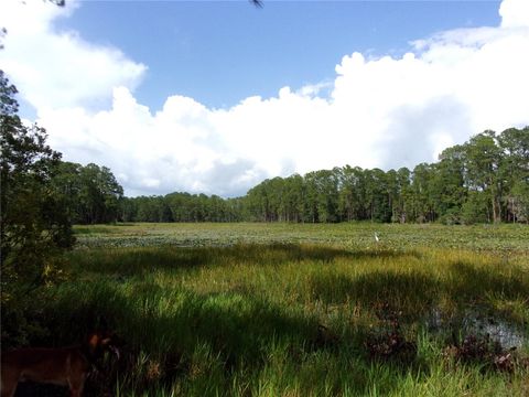Tiny photo for Deep Woods Road, Paisley, FL 32767 (MLS # V4945611)