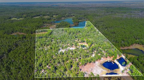 Tiny photo for Deep Woods Road, Paisley, FL 32767 (MLS # V4945611)
