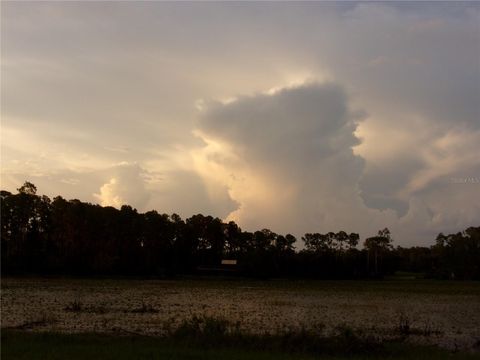 Tiny photo for Deep Woods Road, Paisley, FL 32767 (MLS # V4945611)