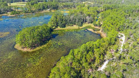 Tiny photo for Deep Woods Road, Paisley, FL 32767 (MLS # V4945611)