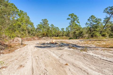 Tiny photo for Deep Woods Road, Paisley, FL 32767 (MLS # V4945611)