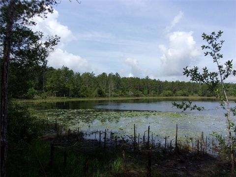 Tiny photo for Deep Woods Road, Paisley, FL 32767 (MLS # V4945611)