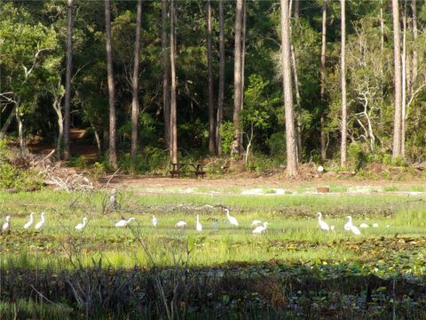 Tiny photo for Deep Woods Road, Paisley, FL 32767 (MLS # V4945611)
