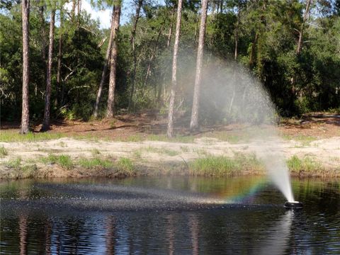 Tiny photo for Deep Woods Road, Paisley, FL 32767 (MLS # V4945611)