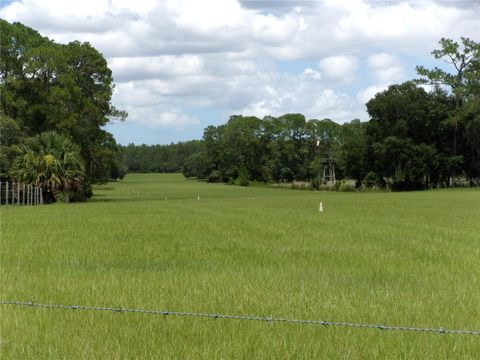 Tiny photo for Deep Woods Road, Paisley, FL 32767 (MLS # V4945611)