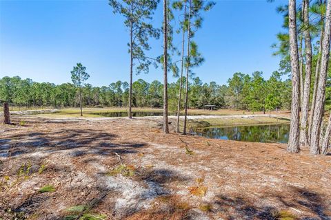 Tiny photo for Deep Woods Road, Paisley, FL 32767 (MLS # V4945611)