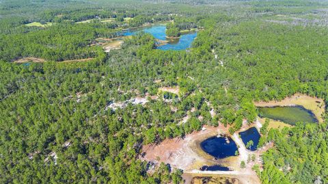 Tiny photo for Deep Woods Road, Paisley, FL 32767 (MLS # V4945611)