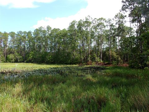 Tiny photo for Deep Woods Road, Paisley, FL 32767 (MLS # V4945611)