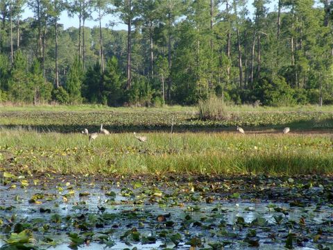 Tiny photo for Deep Woods Road, Paisley, FL 32767 (MLS # V4945611)