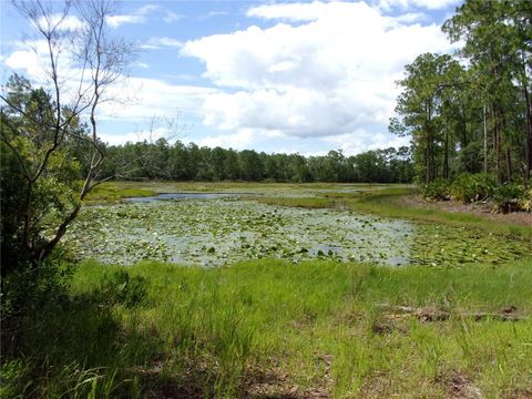 Tiny photo for Deep Woods Road, Paisley, FL 32767 (MLS # V4945611)