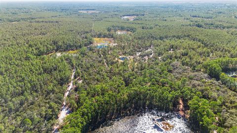 Tiny photo for Deep Woods Road, Paisley, FL 32767 (MLS # V4945611)