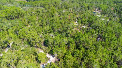 Tiny photo for Deep Woods Road, Paisley, FL 32767 (MLS # V4945611)