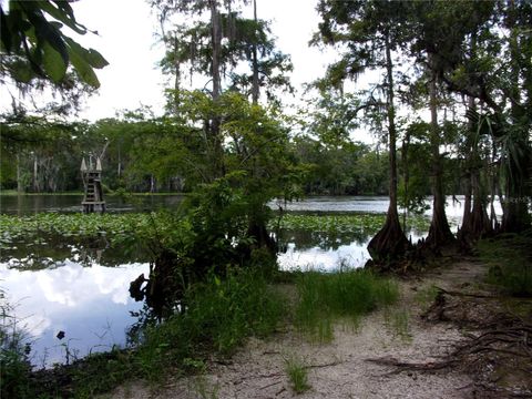 Tiny photo for Deep Woods Road, Paisley, FL 32767 (MLS # V4945611)
