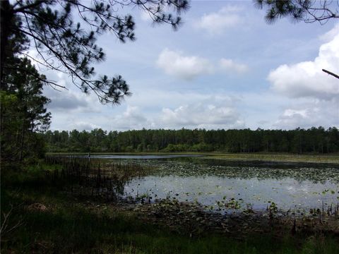 Tiny photo for Deep Woods Road, Paisley, FL 32767 (MLS # V4945611)