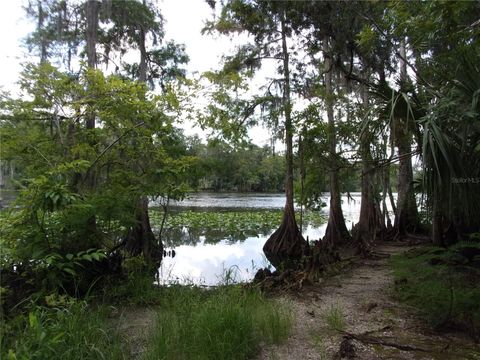 Tiny photo for Deep Woods Road, Paisley, FL 32767 (MLS # V4945611)