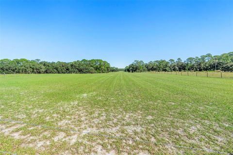 Tiny photo for Deep Woods Road, Paisley, FL 32767 (MLS # V4945611)