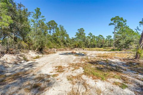 Tiny photo for Deep Woods Road, Paisley, FL 32767 (MLS # V4945611)
