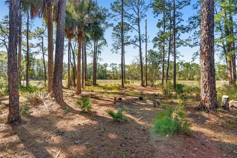 Tiny photo for Deep Woods Road, Paisley, FL 32767 (MLS # V4945611)