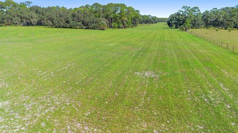 Tiny photo for Deep Woods Road, Paisley, FL 32767 (MLS # V4945611)