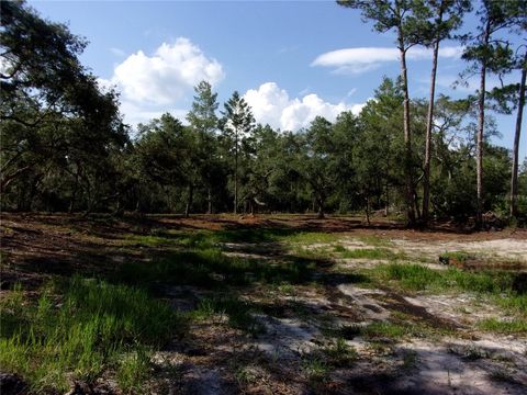 Tiny photo for Deep Woods Road, Paisley, FL 32767 (MLS # V4945611)