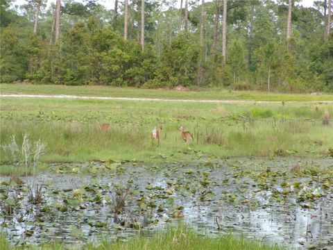 Tiny photo for Deep Woods Road, Paisley, FL 32767 (MLS # V4945611)