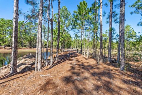 Tiny photo for Deep Woods Road, Paisley, FL 32767 (MLS # V4945611)