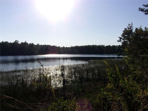 Tiny photo for Deep Woods Road, Paisley, FL 32767 (MLS # V4945611)