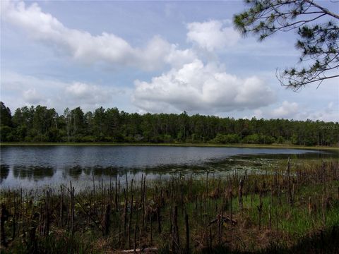 Tiny photo for Deep Woods Road, Paisley, FL 32767 (MLS # V4945611)