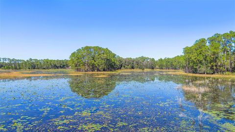 Tiny photo for Deep Woods Road, Paisley, FL 32767 (MLS # V4945611)