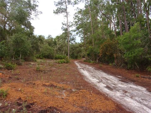Tiny photo for Deep Woods Road, Paisley, FL 32767 (MLS # V4945611)