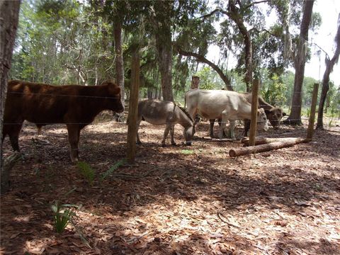 Tiny photo for Deep Woods Road, Paisley, FL 32767 (MLS # V4945611)