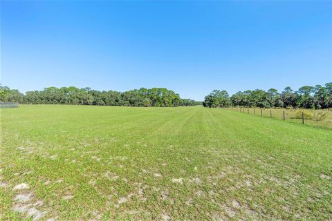 Tiny photo for Deep Woods Road, Paisley, FL 32767 (MLS # V4945611)