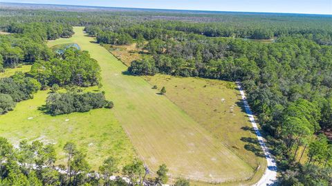 Tiny photo for Deep Woods Road, Paisley, FL 32767 (MLS # V4945611)