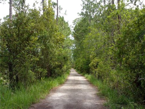 Tiny photo for Deep Woods Road, Paisley, FL 32767 (MLS # V4945611)