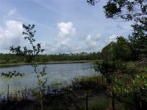 Tiny photo for Deep Woods Road, Paisley, FL 32767 (MLS # V4945611)