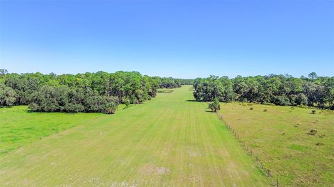 Tiny photo for Deep Woods Road, Paisley, FL 32767 (MLS # V4945611)