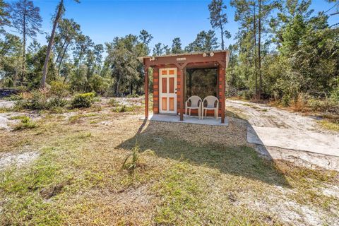 Tiny photo for Deep Woods Road, Paisley, FL 32767 (MLS # V4945611)