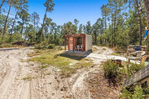 Tiny photo for Deep Woods Road, Paisley, FL 32767 (MLS # V4945611)