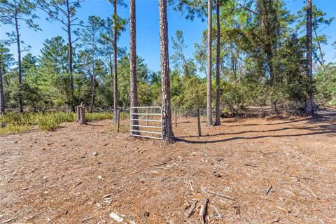 Tiny photo for Deep Woods Road, Paisley, FL 32767 (MLS # V4945611)