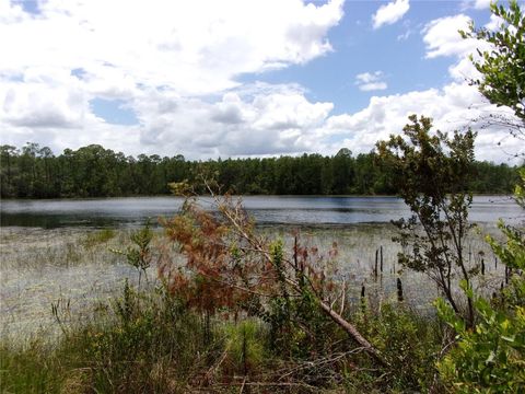 Tiny photo for Deep Woods Road, Paisley, FL 32767 (MLS # V4945611)