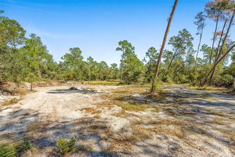 Tiny photo for Deep Woods Road, Paisley, FL 32767 (MLS # V4945611)