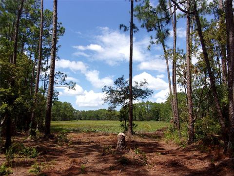 Tiny photo for Deep Woods Road, Paisley, FL 32767 (MLS # V4945611)