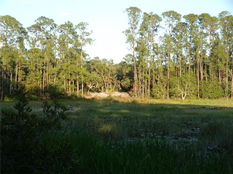 Tiny photo for Deep Woods Road, Paisley, FL 32767 (MLS # V4945611)