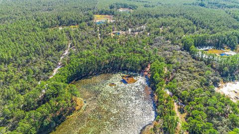 Tiny photo for Deep Woods Road, Paisley, FL 32767 (MLS # V4945611)