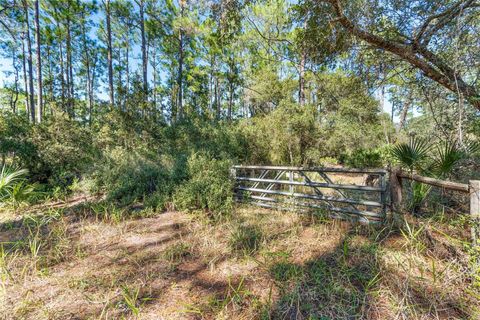 Tiny photo for Deep Woods Road, Paisley, FL 32767 (MLS # V4945611)