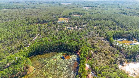 Tiny photo for Deep Woods Road, Paisley, FL 32767 (MLS # V4945611)