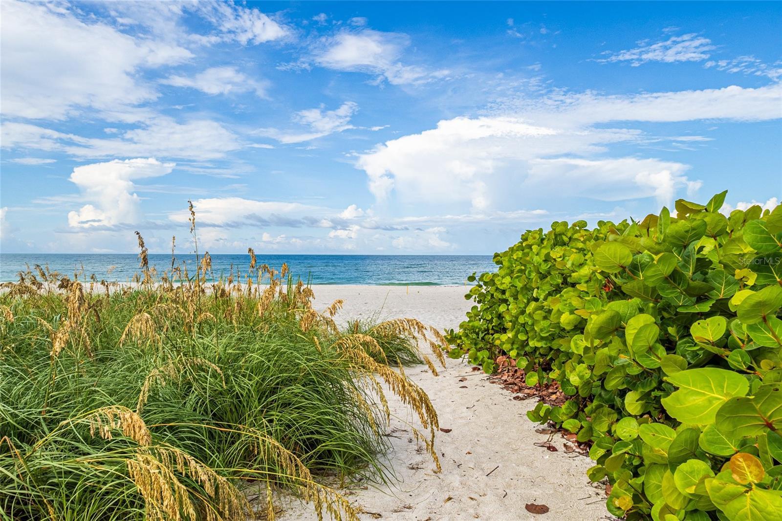 LONGBOAT KEY - Residential